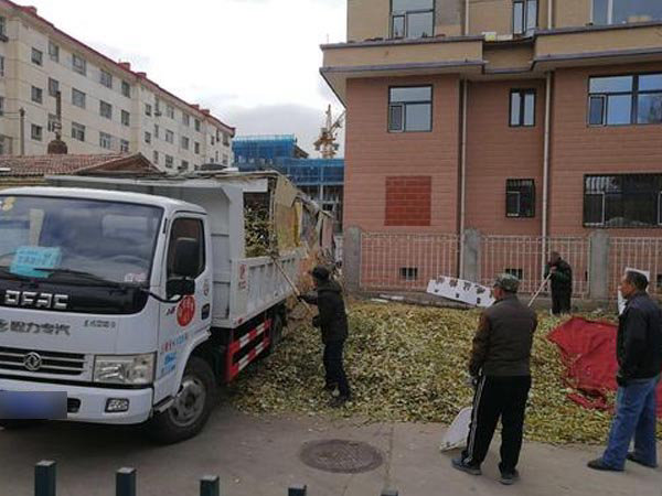 樹枝樹葉清運